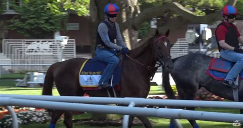 andy serling belmont picks|andy serling belmont picks today.
